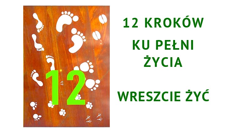 12 Kroków?